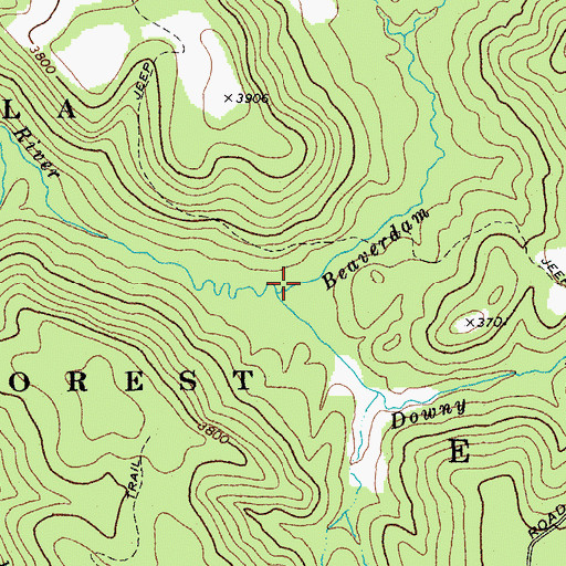 Topographic Map of Beaverdam Run, WV