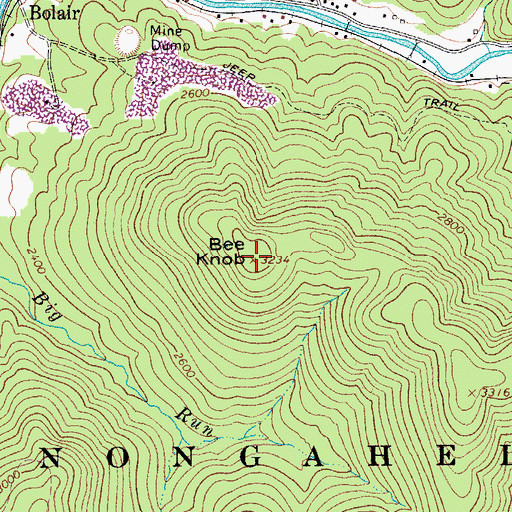 Topographic Map of Bee Knob, WV