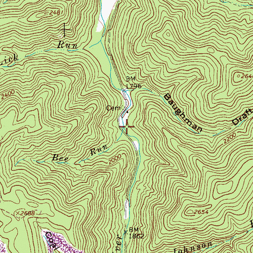 Topographic Map of Bee Run, WV