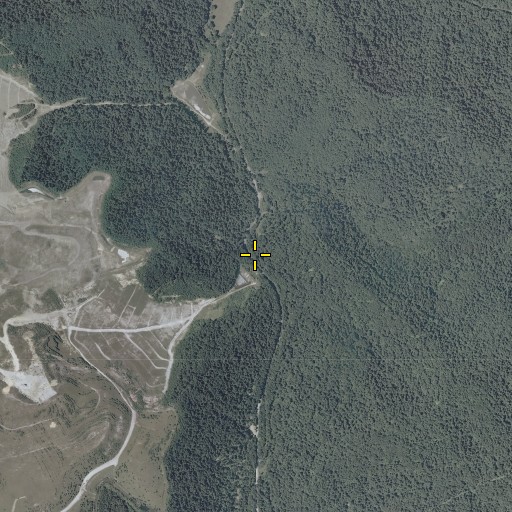 Aerial/Satellite Image of Bee Run, WV