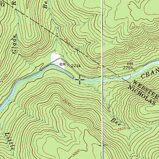 Topographic Map of Bee Run, WV