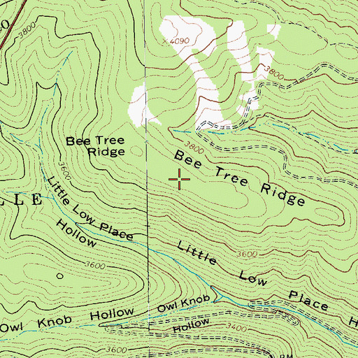 Topographic Map of Bee Tree Ridge, WV