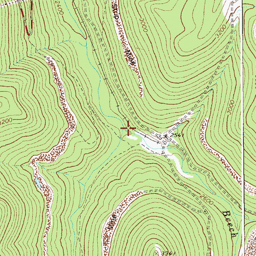 Topographic Map of Beech Run, WV
