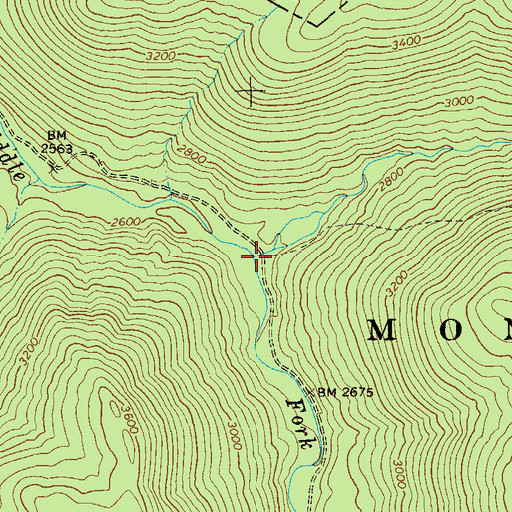 Topographic Map of Beechy Run, WV