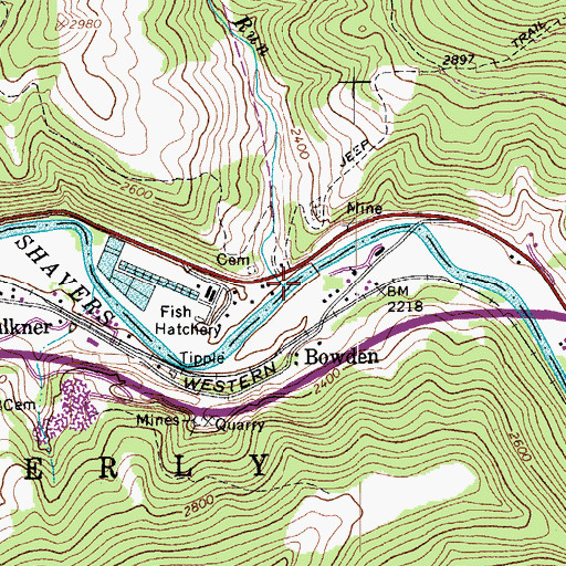 Topographic Map of Bickle Run, WV