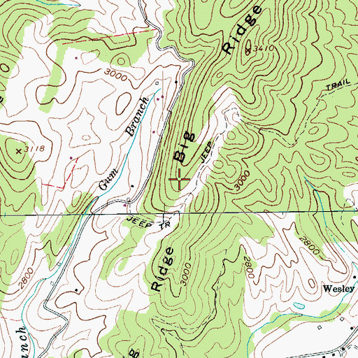 Topographic Map of Big Ridge, WV