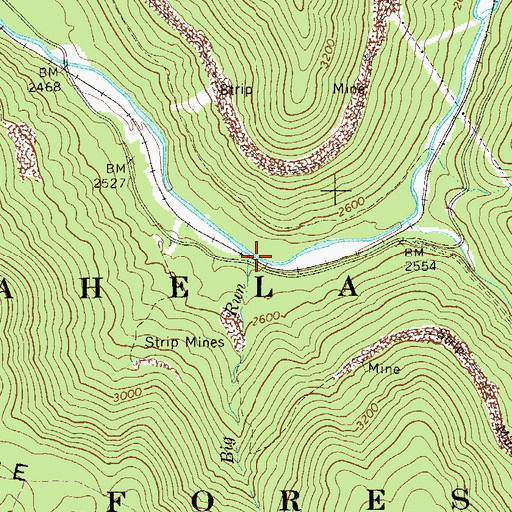 Topographic Map of Big Run, WV