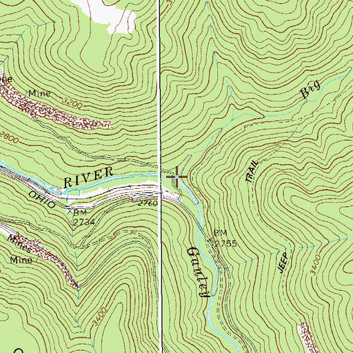Topographic Map of Big Run, WV