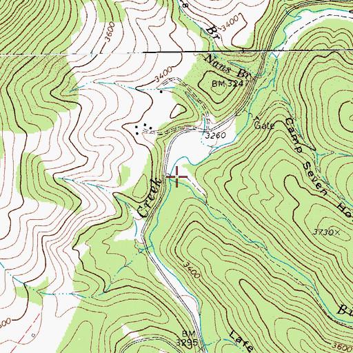 Topographic Map of Big Run, WV