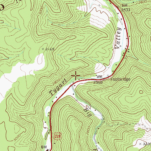 Topographic Map of Big Run, WV
