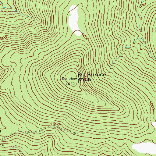 Topographic Map of Big Spruce Knob, WV