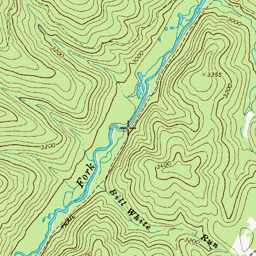 Topographic Map of Bill White Run, WV