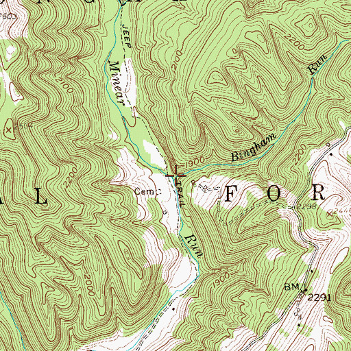 Topographic Map of Bingham Run, WV