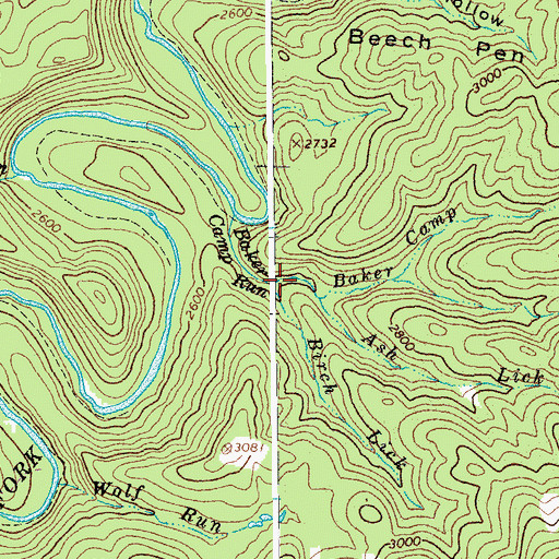 Topographic Map of Birch Lick, WV