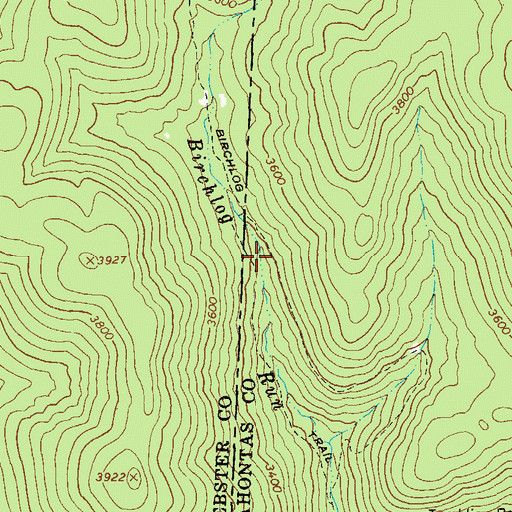 Topographic Map of Birchlog Trail, WV