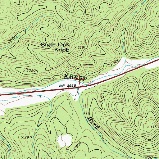 Topographic Map of Bird Run, WV
