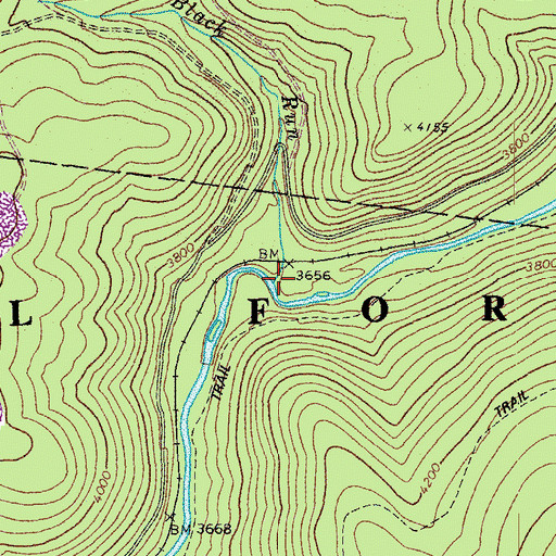 Topographic Map of Black Run, WV
