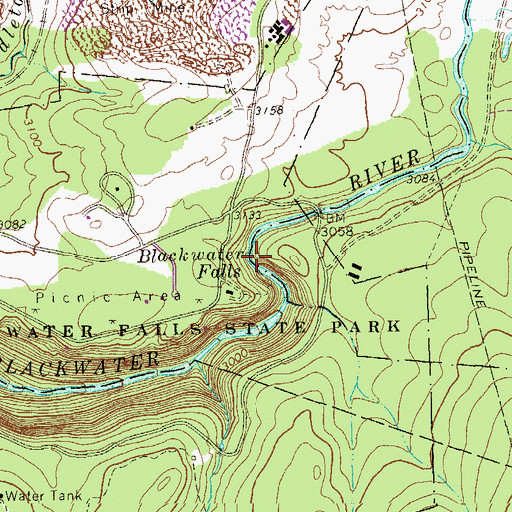 Topographic Map of Blackwater Falls, WV