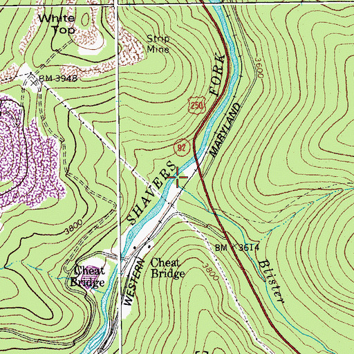 Topographic Map of Blister Run, WV