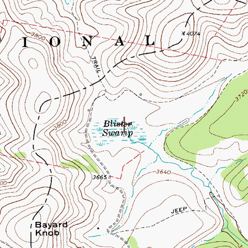 Topographic Map of Blister Swamp, WV