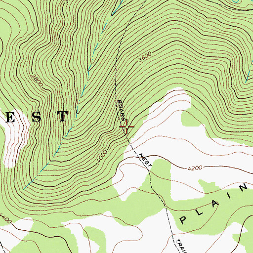 Topographic Map of Boars Nest Trail, WV