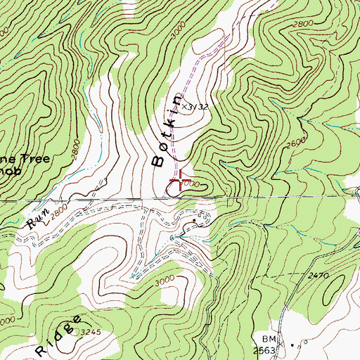 Topographic Map of Botkin Ridge, WV
