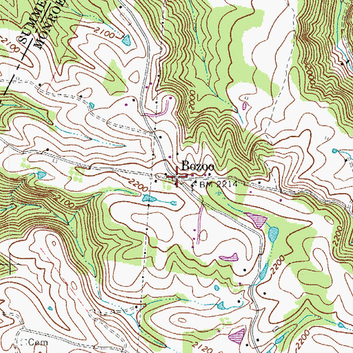 Topographic Map of Bozoo, WV