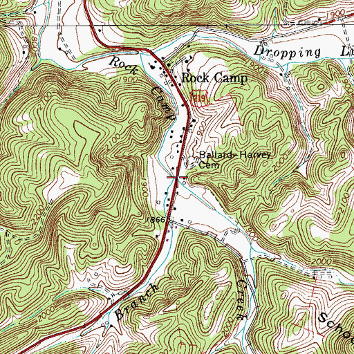 Topographic Map of Bradley Branch, WV
