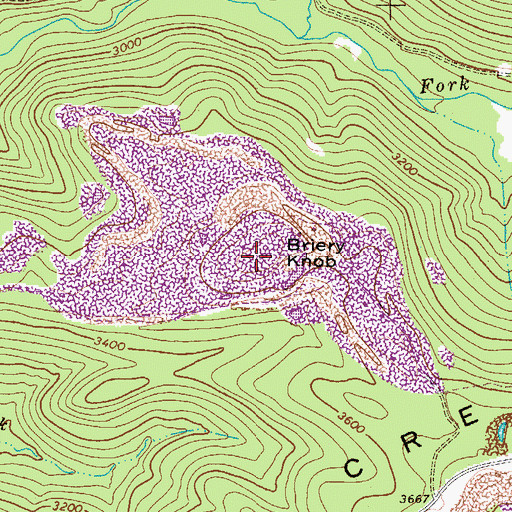 Topographic Map of Briery Knob, WV