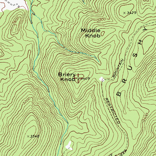 Topographic Map of Briery Knob, WV