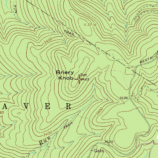 Topographic Map of Briery Knob, WV
