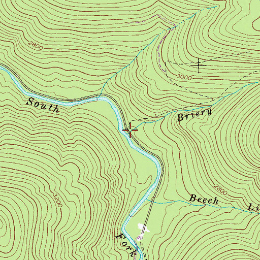 Topographic Map of Briery Run, WV