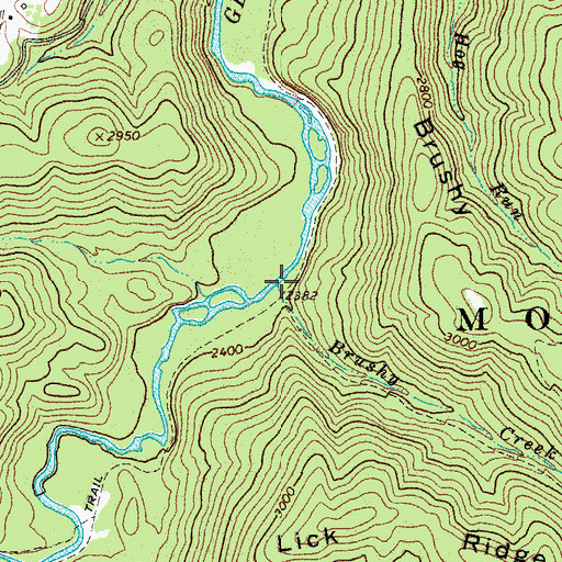 Topographic Map of Brushy Creek, WV