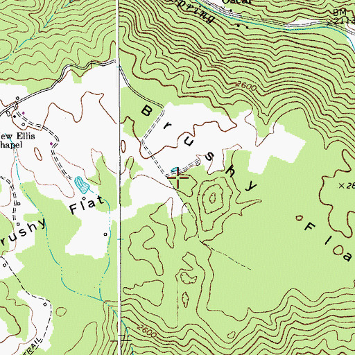 Topographic Map of Brushy Flat, WV