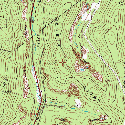 Topographic Map of Brushy Ridge, WV