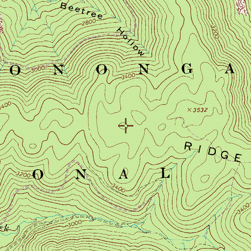 Topographic Map of Buck Ridge, WV