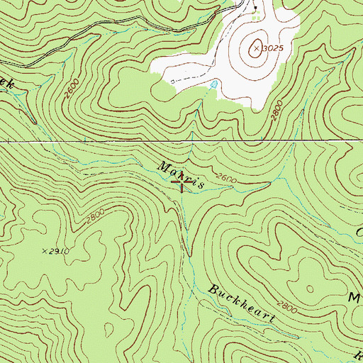 Topographic Map of Buckheart Run, WV