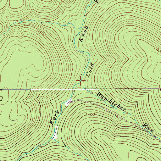Topographic Map of Bumblebee Run, WV