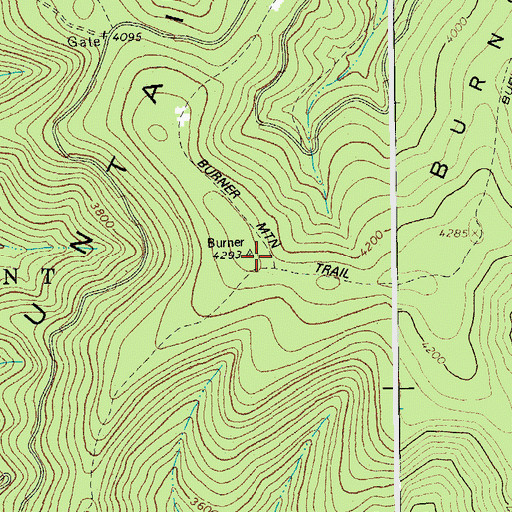 Topographic Map of Burner Mountain, WV