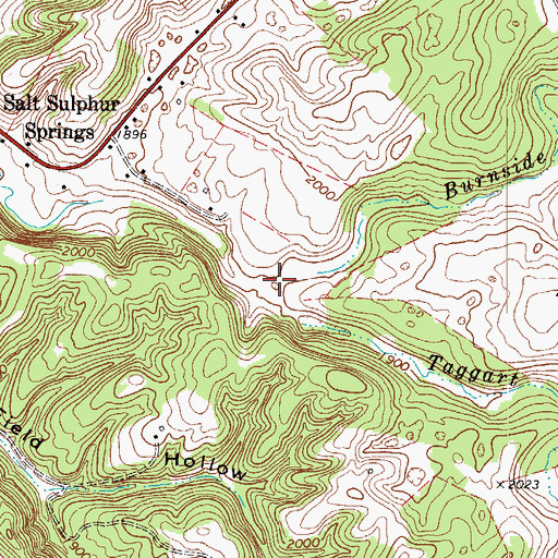 Topographic Map of Burnside Branch, WV