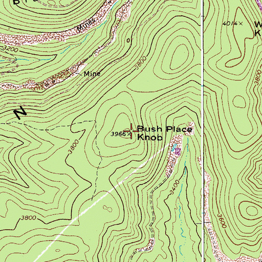 Topographic Map of Bush Place Knob, WV