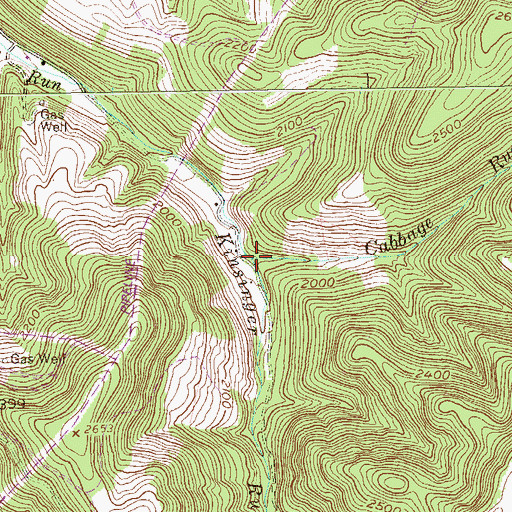 Topographic Map of Cabbage Run, WV