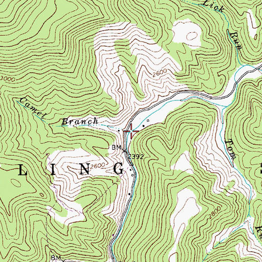Topographic Map of Camel Branch, WV