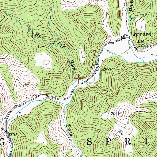 Topographic Map of Camel Branch, WV