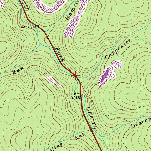 Topographic Map of Carpenter Run, WV