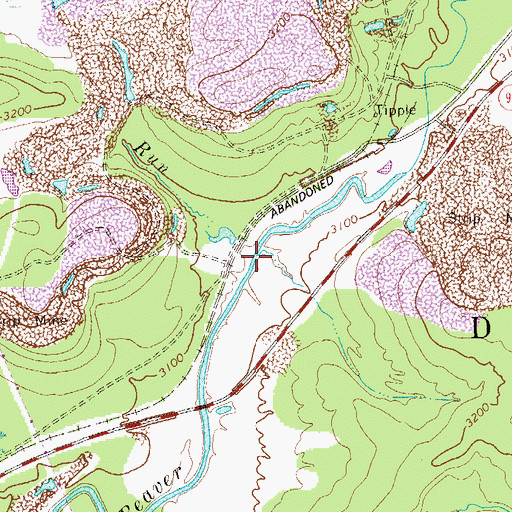 Topographic Map of Chaffey Run, WV
