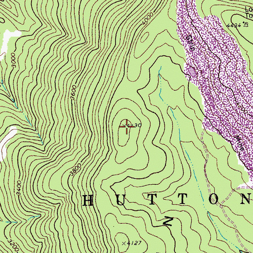 Topographic Map of Cheat Mountain, WV