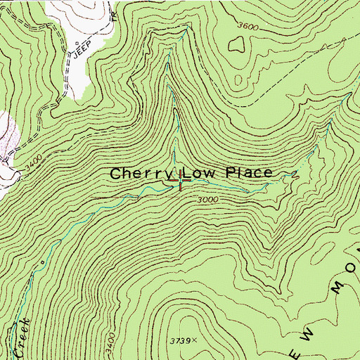 Topographic Map of Cherry Low Place, WV