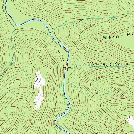 Topographic Map of Chestnut Camp Run, WV