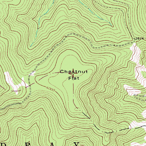 Topographic Map of Chestnut Flat, WV